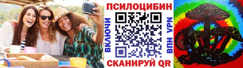 Псилоцибиновые грибы Cubensis  Купить  Новомосковск 